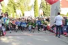 Foto vom Album: 38. Lauf um die Kreckwitzer Höhen - Zielareal