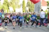 Foto vom Album: 38. Lauf um die Kreckwitzer Höhen - Zielareal