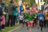 Foto vom Album: 38. Lauf um die Kreckwitzer Höhen - Zielareal