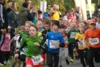 Foto vom Album: 38. Lauf um die Kreckwitzer Höhen - Zielareal