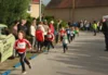 Foto vom Album: 38. Lauf um die Kreckwitzer Höhen - Zielareal