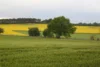 Foto vom Album: 38. Lauf um die Kreckwitzer Höhen - Streckenbilder