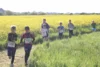 Foto vom Album: 38. Lauf um die Kreckwitzer Höhen - Streckenbilder