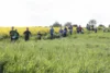 Foto vom Album: 38. Lauf um die Kreckwitzer Höhen - Streckenbilder