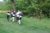 Foto vom Album: 38. Lauf um die Kreckwitzer Höhen - Streckenbilder