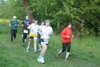 Foto vom Album: 38. Lauf um die Kreckwitzer Höhen - Streckenbilder