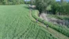 Foto vom Album: 38. Lauf um die Kreckwitzer Höhen - Streckenbilder