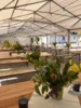 Foto vom Album: Weinfest 2026