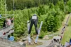 2026-05-24 Pfingstspringen Bischofsgrün 71 Mulack Atreju(c) Stefi   Justus Linke