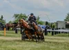 Foto vom Album: Schwarzbach