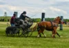 Foto vom Album: Schwarzbach