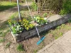 Foto vom Album: Mitmachtag 2026 in Ermsleben