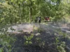 Foto vom Album: 260526 Waldbrand Wböhla