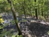 Foto vom Album: 260526 Waldbrand Wböhla