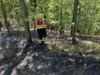 Foto vom Album: 260526 Waldbrand Wböhla
