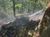Foto vom Album: 260526 Waldbrand Wböhla