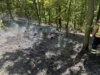 260526 Waldbrand Weinböhla 4