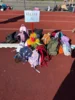 Foto vom Album: Bundesjugendspiele