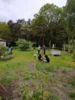 Foto vom Album: Schulgarten 2