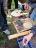 Foto vom Album: Schulgarten 2
