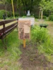 Foto vom Album: Schulgarten 2