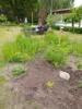 Foto vom Album: Schulgarten 2