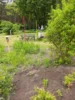 Foto vom Album: Schulgarten 2
