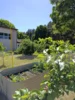 Foto vom Album: Schulgarten 2