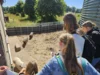 Foto vom Album: Landwirtschaftstag