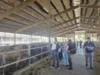 Foto vom Album: Landwirtschaftstag