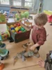 Foto vom Album: Rückblick April/Mai Mini- und kleine Füchse