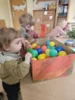Foto vom Album: Rückblick April/Mai Mini- und kleine Füchse