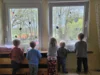 Foto vom Album: Rückblick April/Mai Mini- und kleine Füchse