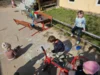 Foto vom Album: Rückblick April/Mai Mini- und kleine Füchse