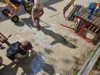 Foto vom Album: Rückblick April/Mai Mini- und kleine Füchse