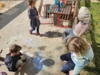 Foto vom Album: Rückblick April/Mai Mini- und kleine Füchse