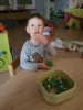 Foto vom Album: Rückblick April/Mai Mini- und kleine Füchse
