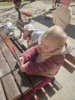 Foto vom Album: Rückblick April/Mai Mini- und kleine Füchse