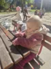 Foto vom Album: Rückblick April/Mai Mini- und kleine Füchse