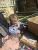 Foto vom Album: Rückblick April/Mai Mini- und kleine Füchse