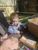 Foto vom Album: Rückblick April/Mai Mini- und kleine Füchse