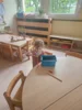 Foto vom Album: Rückblick April/Mai Mini- und kleine Füchse