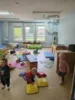 Foto vom Album: Rückblick April/Mai Mini- und kleine Füchse