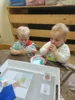 Foto vom Album: Rückblick April/Mai Mini- und kleine Füchse