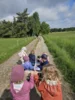 Foto vom Album: Rückblick April/Mai Mini- und kleine Füchse