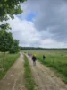 Foto vom Album: Rückblick April/Mai Mini- und kleine Füchse