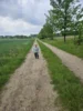 Foto vom Album: Rückblick April/Mai Mini- und kleine Füchse
