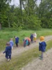 Foto vom Album: Rückblick April/Mai Mini- und kleine Füchse