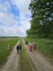 Foto vom Album: Rückblick April/Mai Mini- und kleine Füchse