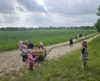 Foto vom Album: Rückblick April/Mai Mini- und kleine Füchse